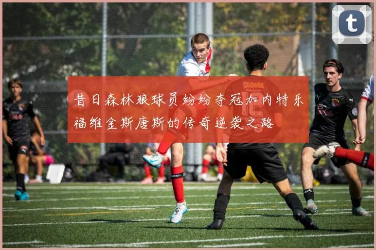 昔日森林狼球员纷纷夺冠加内特乐福维金斯唐斯的传奇逆袭之路