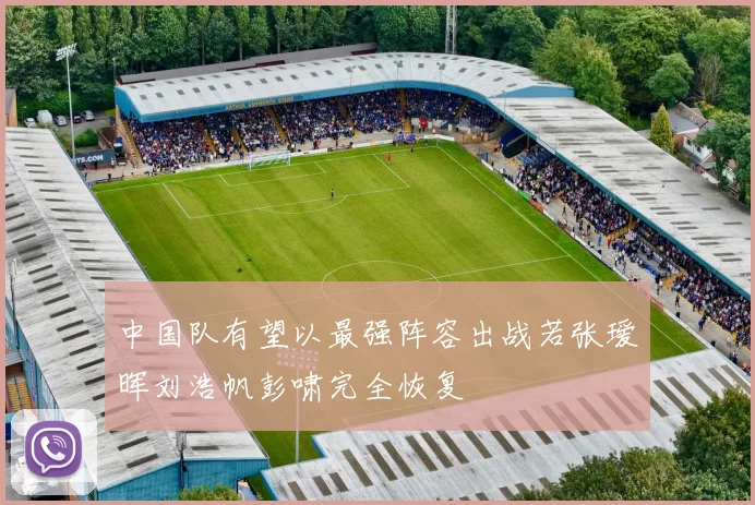 中国队有望以最强阵容出战若张瑷晖刘浩帆彭啸完全恢复
